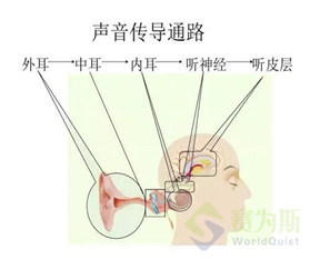 噪聲職業健康檢查中的小問題