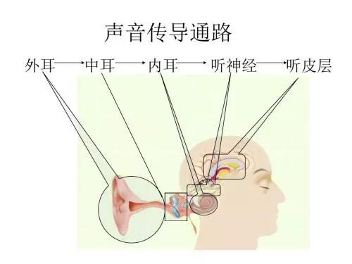 噪聲職業健康檢查中的小問題