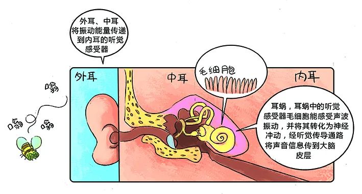 環保科普丨環境噪聲污染防治 知識問答2
