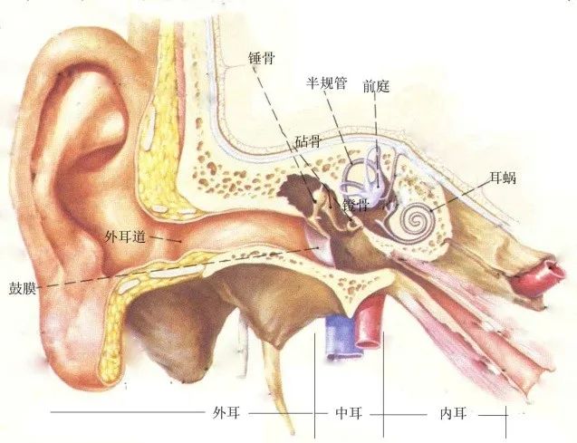 環保科普丨環境噪聲污染防治 知識問答2