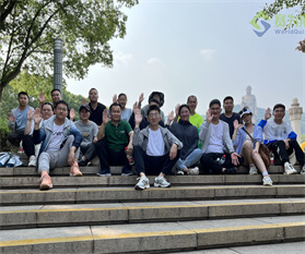 一次虔誠的禮佛之旅——賽為斯無錫靈山團建